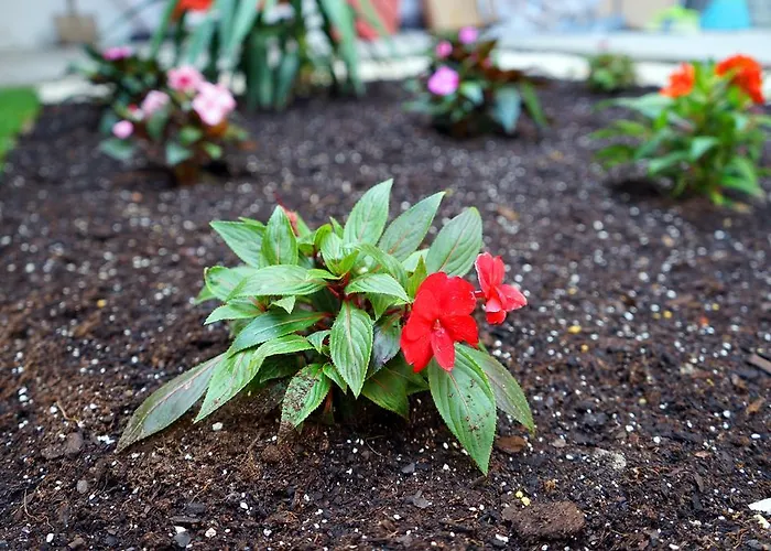 Luiz I Bridge By Amber Star Rent * Vila Nova de Gaia