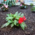 Luiz I Bridge By Amber Star Rent * Vila Nova de Gaia