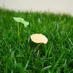 Luiz I Bridge By Amber Star Rent *