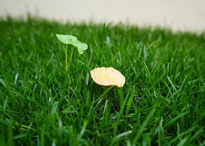 Luiz I Bridge By Amber Star Rent *